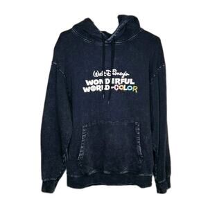 Walt Disney Wonderful World of Color Hoodie Medium